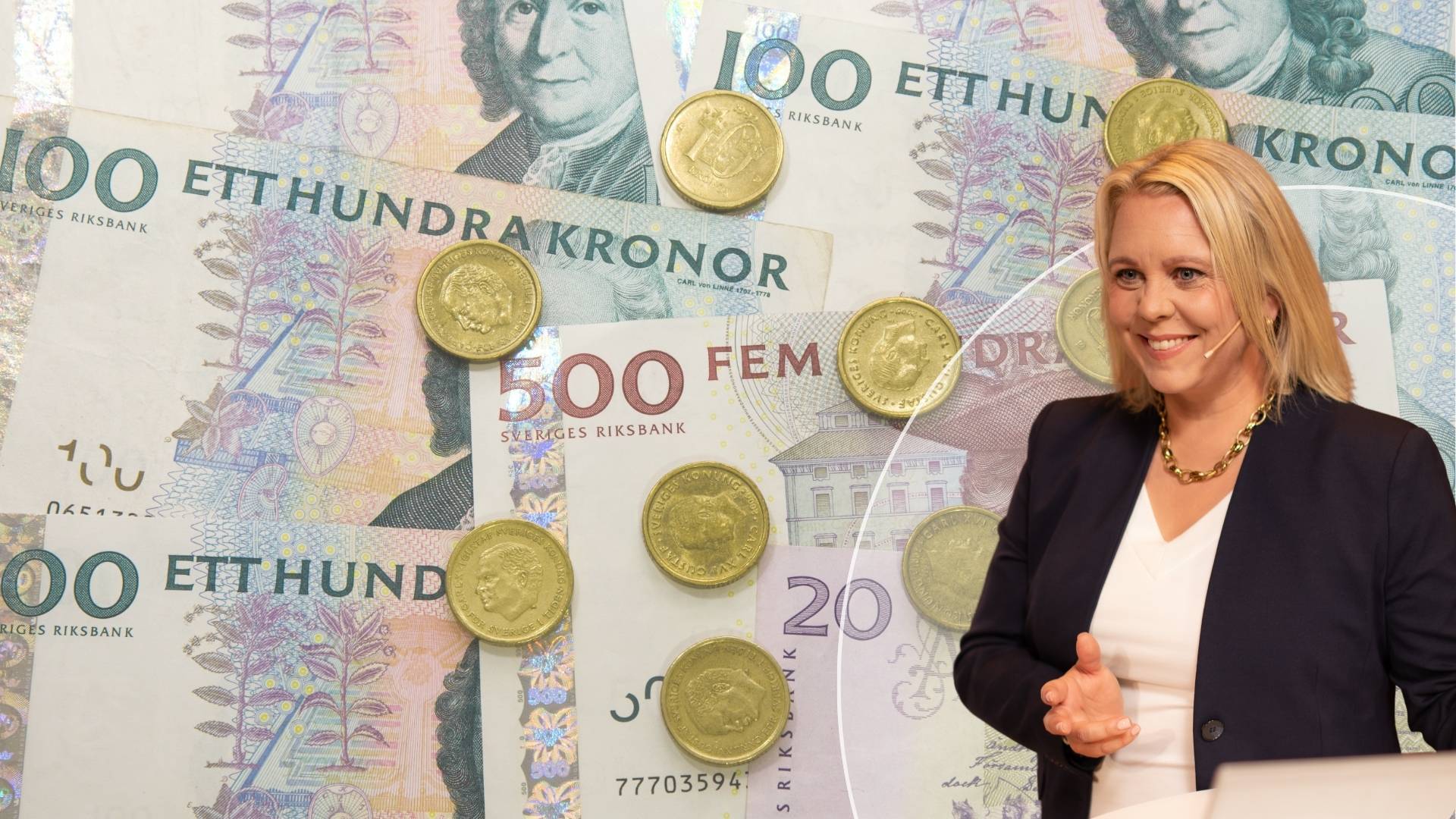 Nya besked från regeringen –  lönetransparensdirektivet skjuts upp