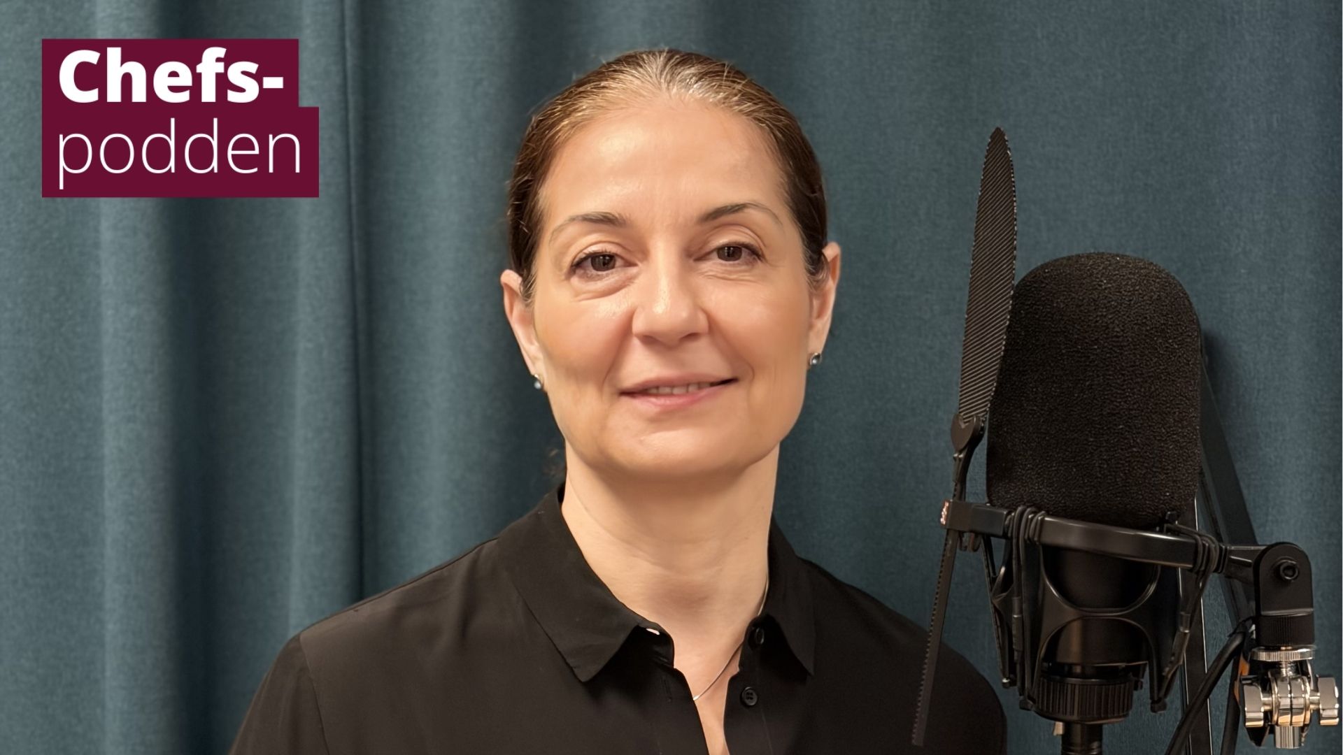 Lena Hadad om tystnadskulturer, konflikthantering och polis-HR